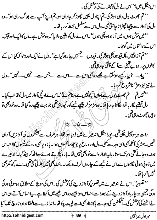 Mera Dil Mera Nahi is an Urdu Romantic Novel by Nasir Hussain about the different colours of love and hate of human nature ,  Page No. 89