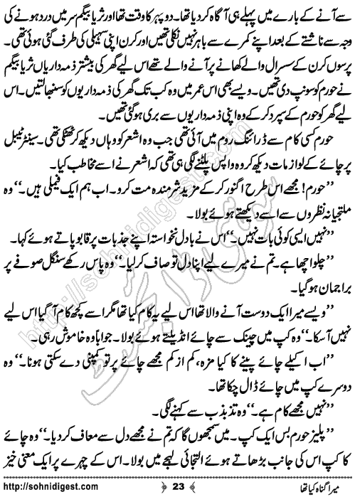 Mera Gunah Kiya Tha Urdu Short Story by Noor Bano,Page No.23