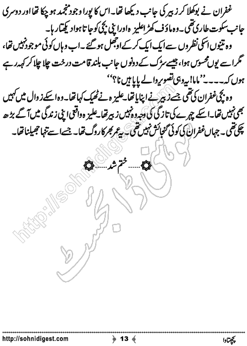 Pachhtawa Urdu Short Story by Noor Bano,Page No.13