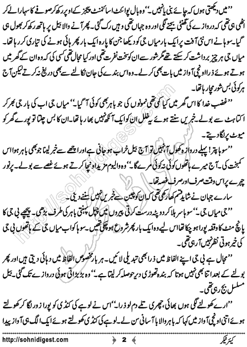 Caretaker is an Urdu Short Story written by Rabeea Amjad about a fraud caretaker of an old lady, Page No. 2