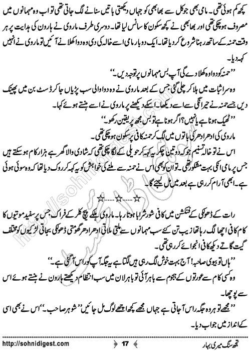 Tujh Sung Meri Bahar Urdu Short Story by Rabia Sajid, Page No.  17