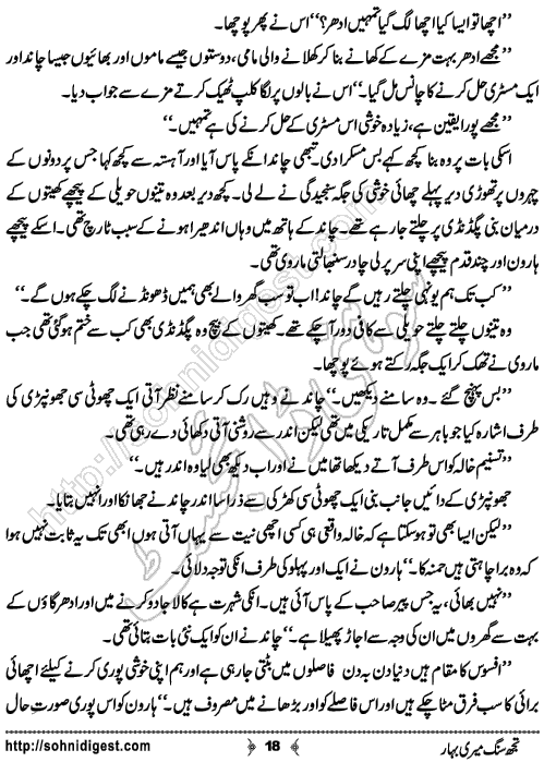 Tujh Sung Meri Bahar Urdu Short Story by Rabia Sajid, Page No.  18