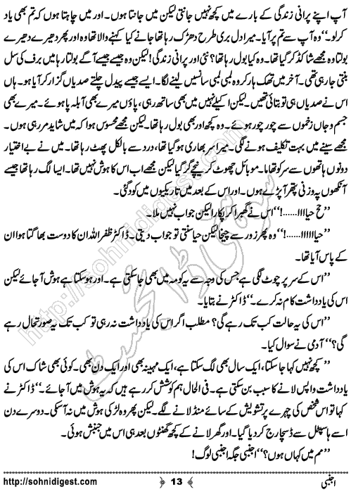 Ajnabi Urdu Short Story by Raheela Shah, Page No. 13