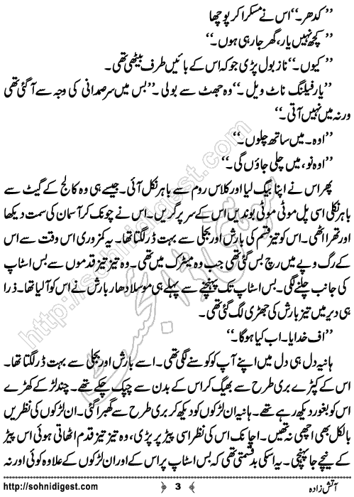 Aatish Zadah is an Urdu Horror and Mystery Novel written by Rizwan Ali Soomro about some strange and fearful events happening to a beautiful young girl when a black cat start chasing her,Page No.3