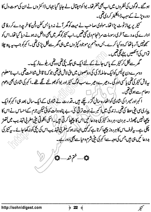 Kaneez Urdu Short Story by Rizwan Ali Soomro, Page No.  22