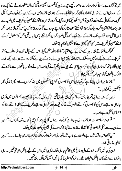 Shak Urdu Short story by Rizwan Ali Soomro, Page No.  14