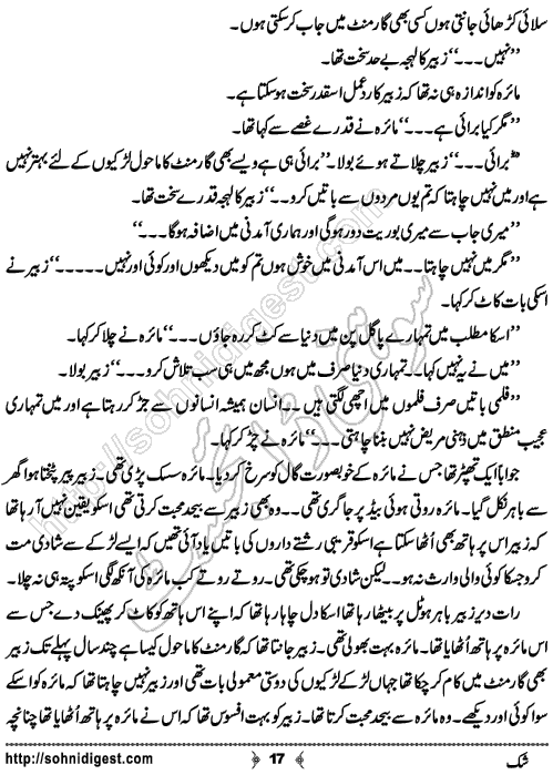 Shak Urdu Short story by Rizwan Ali Soomro, Page No.  17