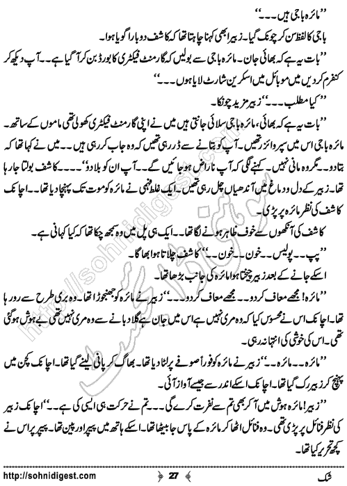 Shak Urdu Short story by Rizwan Ali Soomro, Page No.  27