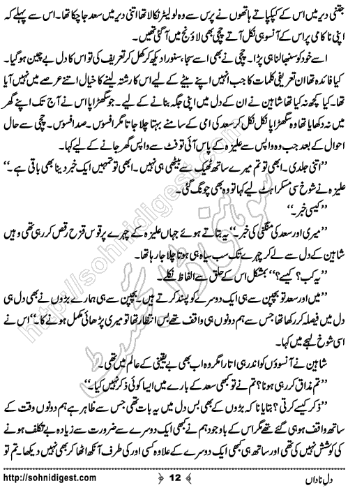 Dil e Nadan Urdu Short Story By SA Naqvi, Page No. 12