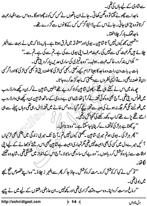 Dil e Nadan Urdu Short Story By SA Naqvi, Page No. 14