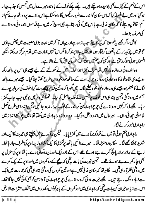 Zulmat Kada is a Horror and Mystery Novel written by Dr Sabir Ali Hashmi about a thief who entered in a haunted house for saving his life but there he encountered with ghosts and witches where the hair raising situation and spine chilling events make his night really gruesome, Page No. 12