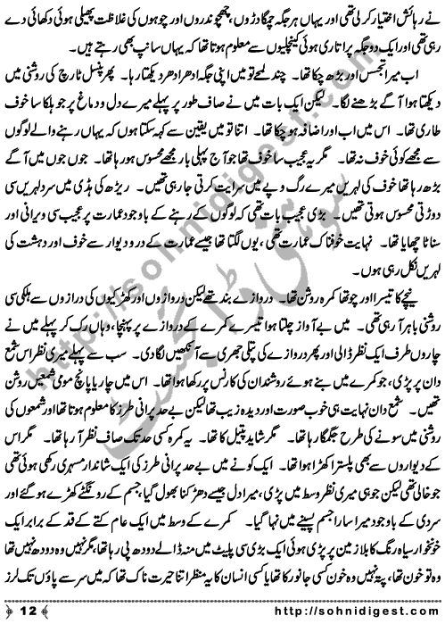 Zulmat Kada is a Horror and Mystery Novel written by Dr Sabir Ali Hashmi about a thief who entered in a haunted house for saving his life but there he encountered with ghosts and witches where the hair raising situation and spine chilling events make his night really gruesome, Page No. 13