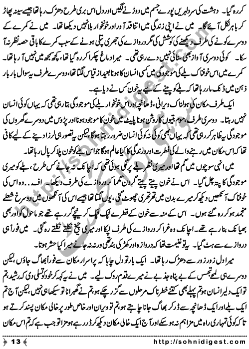 Zulmat Kada is a Horror and Mystery Novel written by Dr Sabir Ali Hashmi about a thief who entered in a haunted house for saving his life but there he encountered with ghosts and witches where the hair raising situation and spine chilling events make his night really gruesome, Page No. 14