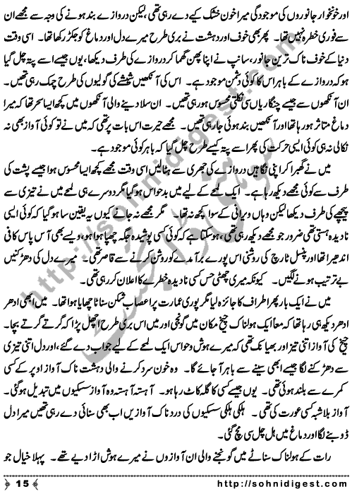 Zulmat Kada is a Horror and Mystery Novel written by Dr Sabir Ali Hashmi about a thief who entered in a haunted house for saving his life but there he encountered with ghosts and witches where the hair raising situation and spine chilling events make his night really gruesome, Page No. 16