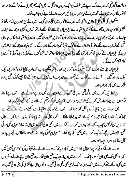 Zulmat Kada is a Horror and Mystery Novel written by Dr Sabir Ali Hashmi about a thief who entered in a haunted house for saving his life but there he encountered with ghosts and witches where the hair raising situation and spine chilling events make his night really gruesome, Page No. 18