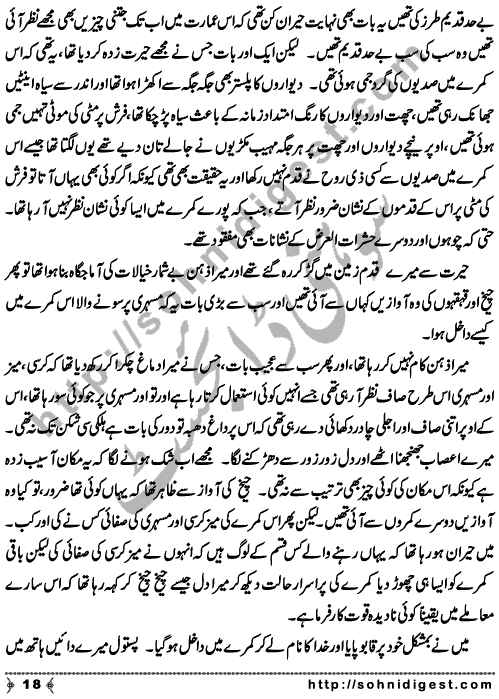 Zulmat Kada is a Horror and Mystery Novel written by Dr Sabir Ali Hashmi about a thief who entered in a haunted house for saving his life but there he encountered with ghosts and witches where the hair raising situation and spine chilling events make his night really gruesome, Page No. 19