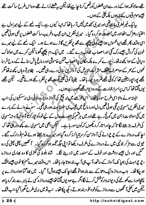 Zulmat Kada is a Horror and Mystery Novel written by Dr Sabir Ali Hashmi about a thief who entered in a haunted house for saving his life but there he encountered with ghosts and witches where the hair raising situation and spine chilling events make his night really gruesome, Page No. 21