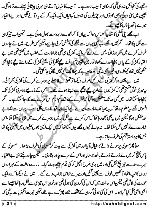 Zulmat Kada is a Horror and Mystery Novel written by Dr Sabir Ali Hashmi about a thief who entered in a haunted house for saving his life but there he encountered with ghosts and witches where the hair raising situation and spine chilling events make his night really gruesome, Page No. 22