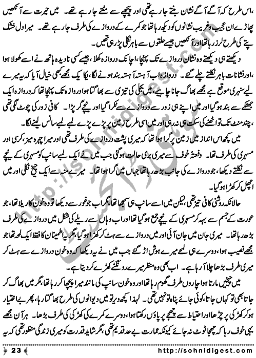 Zulmat Kada is a Horror and Mystery Novel written by Dr Sabir Ali Hashmi about a thief who entered in a haunted house for saving his life but there he encountered with ghosts and witches where the hair raising situation and spine chilling events make his night really gruesome, Page No. 24