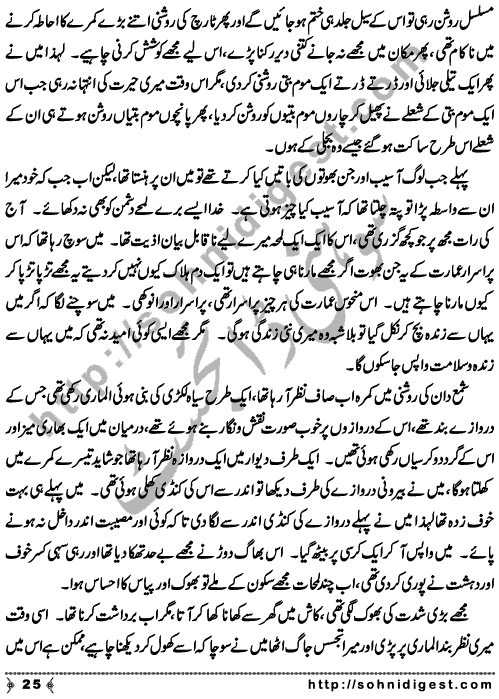 Zulmat Kada is a Horror and Mystery Novel written by Dr Sabir Ali Hashmi about a thief who entered in a haunted house for saving his life but there he encountered with ghosts and witches where the hair raising situation and spine chilling events make his night really gruesome, Page No. 26