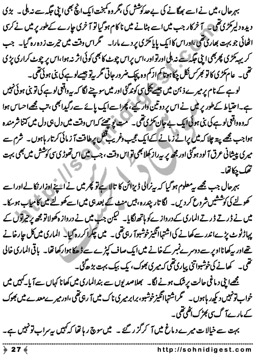 Zulmat Kada is a Horror and Mystery Novel written by Dr Sabir Ali Hashmi about a thief who entered in a haunted house for saving his life but there he encountered with ghosts and witches where the hair raising situation and spine chilling events make his night really gruesome, Page No. 28