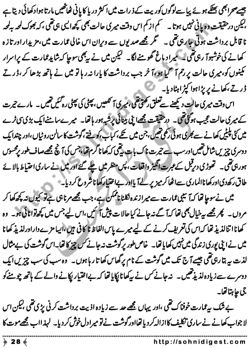 Zulmat Kada is a Horror and Mystery Novel written by Dr Sabir Ali Hashmi about a thief who entered in a haunted house for saving his life but there he encountered with ghosts and witches where the hair raising situation and spine chilling events make his night really gruesome, Page No. 29