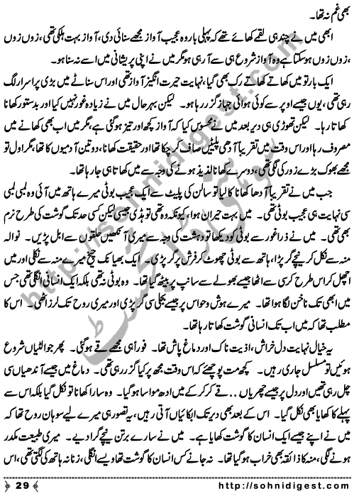 Zulmat Kada is a Horror and Mystery Novel written by Dr Sabir Ali Hashmi about a thief who entered in a haunted house for saving his life but there he encountered with ghosts and witches where the hair raising situation and spine chilling events make his night really gruesome, Page No. 30