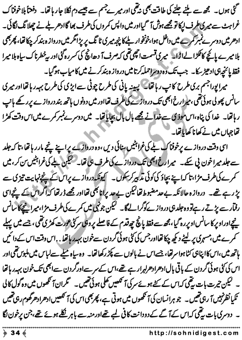 Zulmat Kada is a Horror and Mystery Novel written by Dr Sabir Ali Hashmi about a thief who entered in a haunted house for saving his life but there he encountered with ghosts and witches where the hair raising situation and spine chilling events make his night really gruesome, Page No. 35