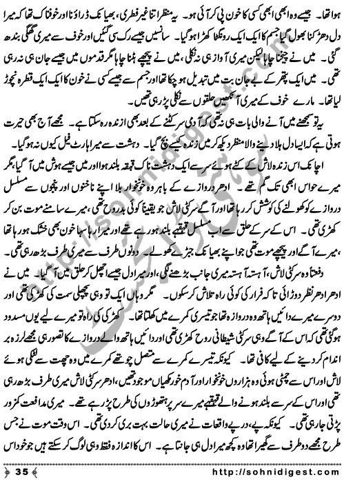 Zulmat Kada is a Horror and Mystery Novel written by Dr Sabir Ali Hashmi about a thief who entered in a haunted house for saving his life but there he encountered with ghosts and witches where the hair raising situation and spine chilling events make his night really gruesome, Page No. 36