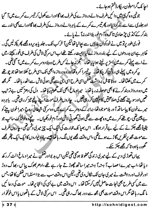 Zulmat Kada is a Horror and Mystery Novel written by Dr Sabir Ali Hashmi about a thief who entered in a haunted house for saving his life but there he encountered with ghosts and witches where the hair raising situation and spine chilling events make his night really gruesome, Page No. 38