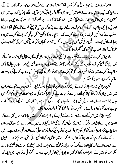 Zulmat Kada is a Horror and Mystery Novel written by Dr Sabir Ali Hashmi about a thief who entered in a haunted house for saving his life but there he encountered with ghosts and witches where the hair raising situation and spine chilling events make his night really gruesome, Page No. 42