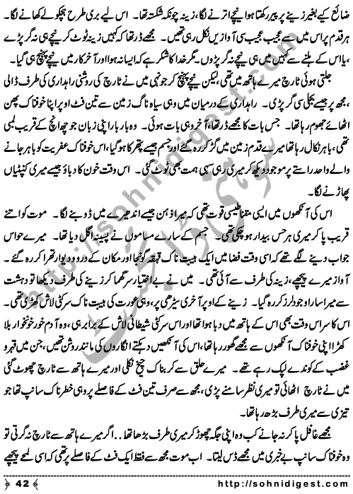 Zulmat Kada is a Horror and Mystery Novel written by Dr Sabir Ali Hashmi about a thief who entered in a haunted house for saving his life but there he encountered with ghosts and witches where the hair raising situation and spine chilling events make his night really gruesome, Page No. 43