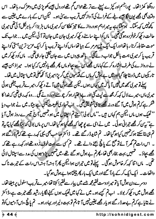 Zulmat Kada is a Horror and Mystery Novel written by Dr Sabir Ali Hashmi about a thief who entered in a haunted house for saving his life but there he encountered with ghosts and witches where the hair raising situation and spine chilling events make his night really gruesome, Page No. 45