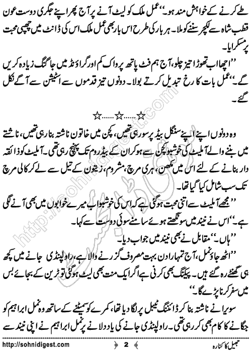 Jheel ka Kinara is an Urdu Novelette written by Saba Azhar about two boys fallen in love with same girl,Page No.2