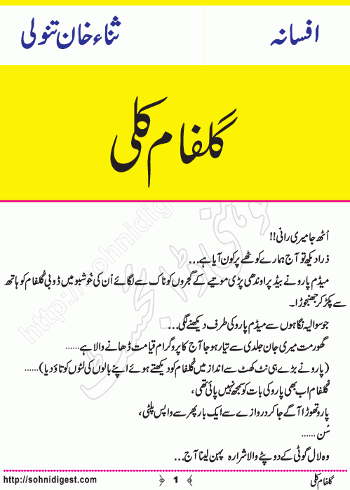 Gulfam Kali is an Urdu Short Story written by Sana Khan Tanoli about the love story of a young married and a girl from bazaar e husan, Page No.  1