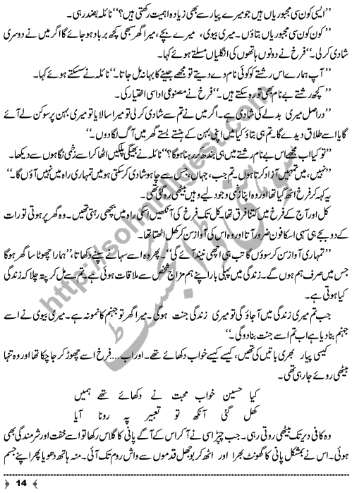 Bename Rishtay A Short Story by Seema Nasir Page No. 14