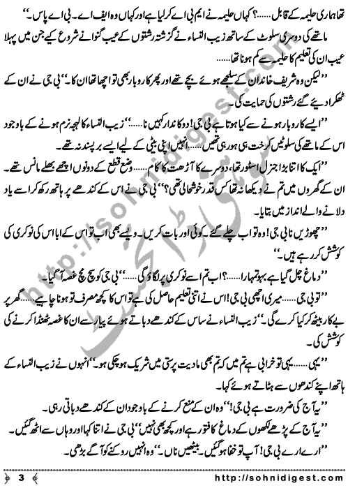 Lakeerain is an Afsana written By Shagufta Bhatti about those parents who did not care to do marriages of their children on time,   Page No. 3