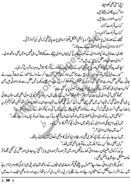 Hisab Barabar A Novelette by Shazia Rana Page No. 28