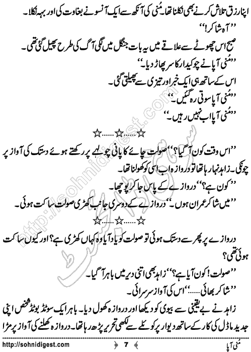 Munni Aapa is a Short Urdu Story written by Tanzila Yousaf about the difficulties of a mentally ill homeless woman,Page No.7