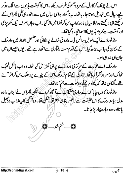 Aasaib Horror Story by Yasmin Hashmi,Page No.18