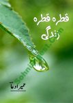 Qatra Qatra Zindagi romantic urdu novel by Humaira Dua